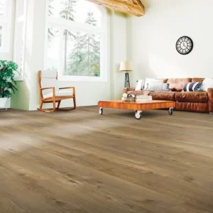 PT002_574_00_500x500 Laminate flooring | Carpet World Of Alaska